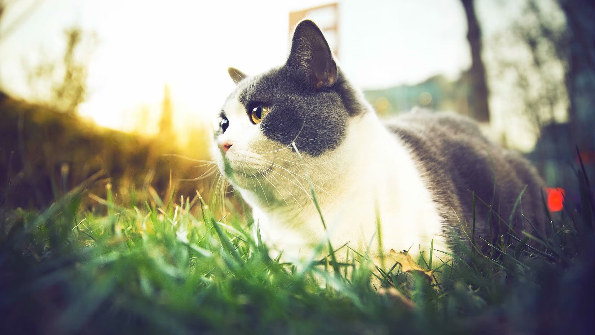 开云官方网站-“广州恒大续约关键球员，打造豪华阵容”，广州恒大球员最新变动