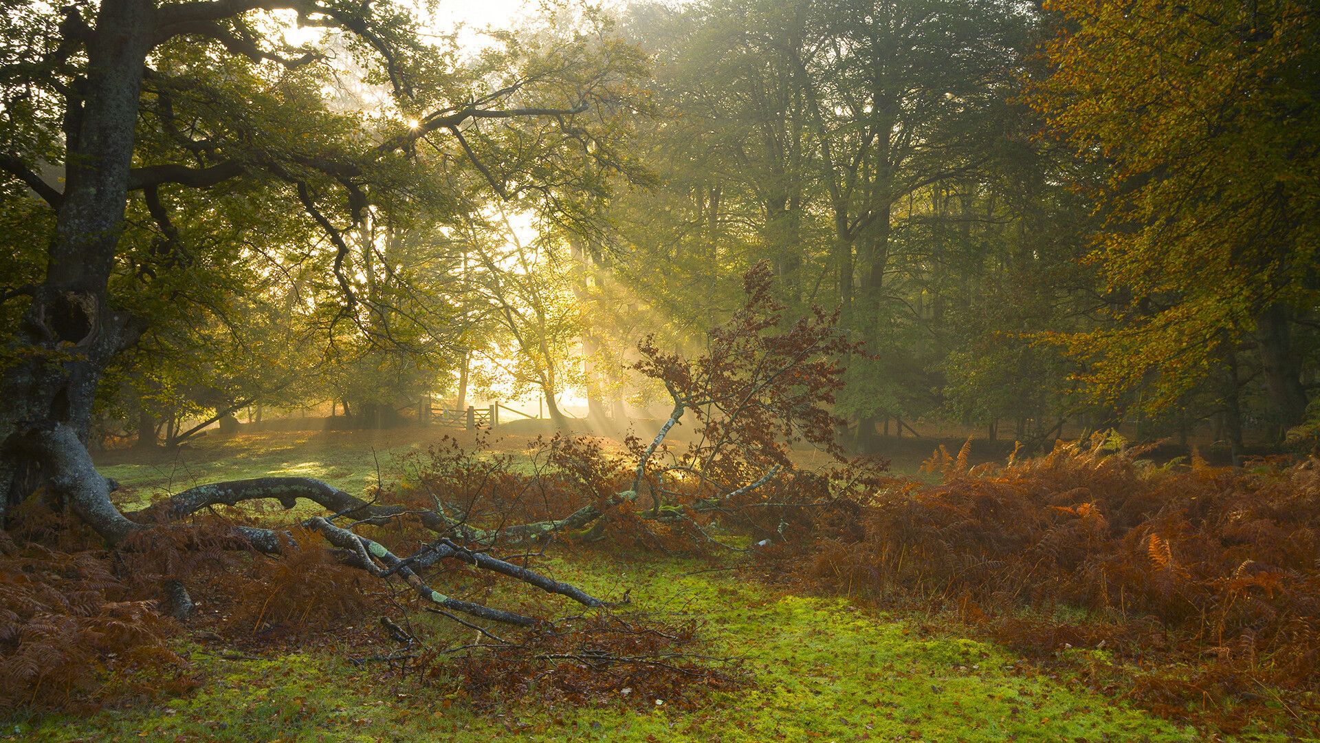 开云kaiyun-《虚拟现实中激战：电竞体验的未来方向》，虚拟现实战剧情